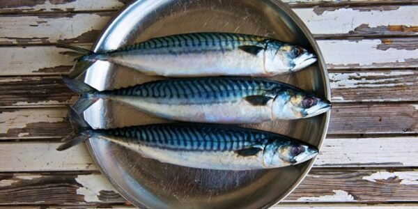 Mackerel fish - Image 2